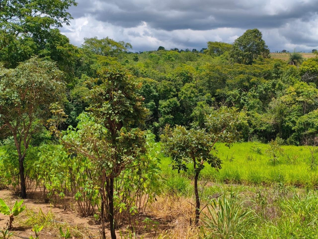 Área verde e contato com a natureza do Espaço Terapêutico Equalize
