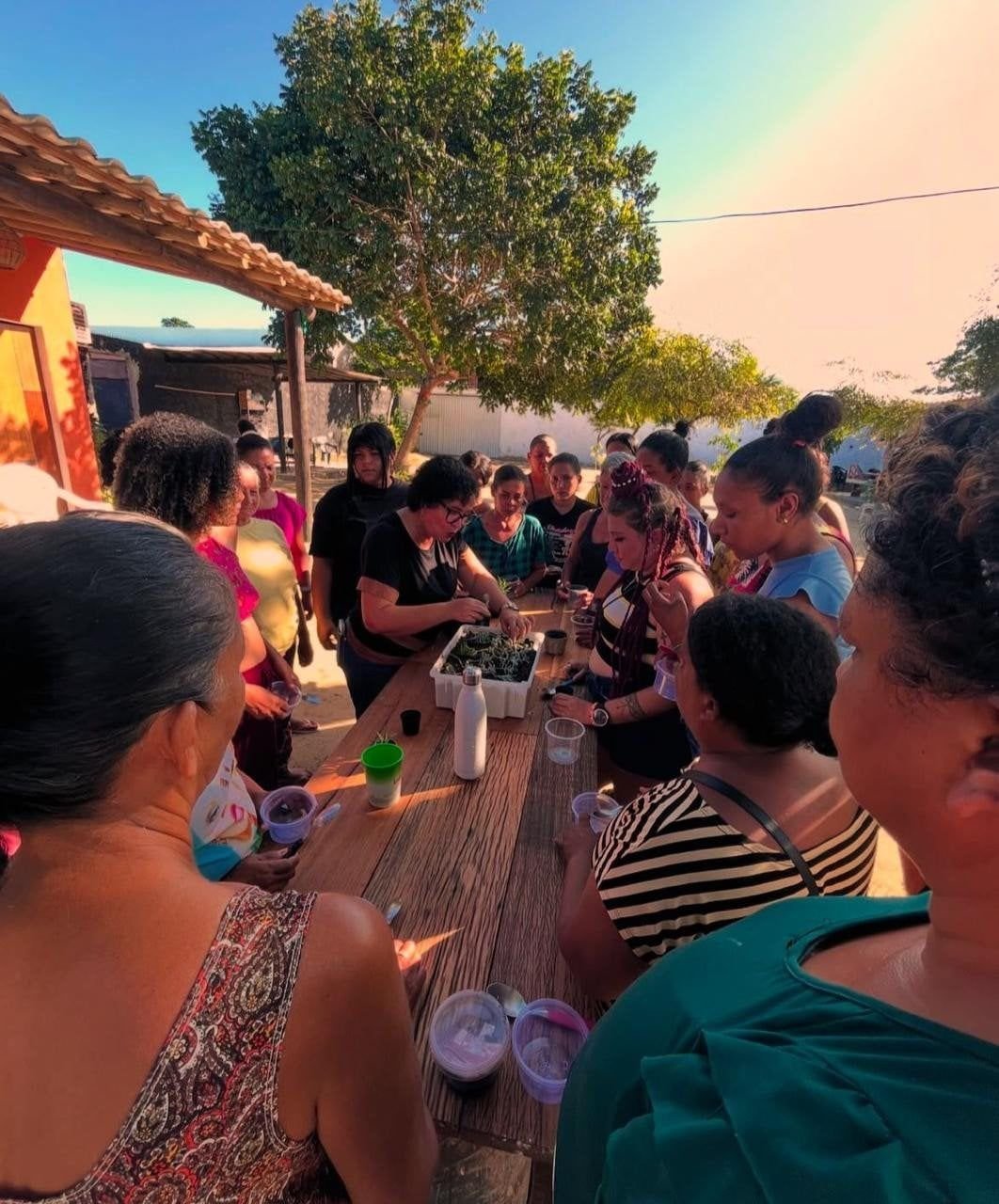 Horta terapêutica e atividade em grupo