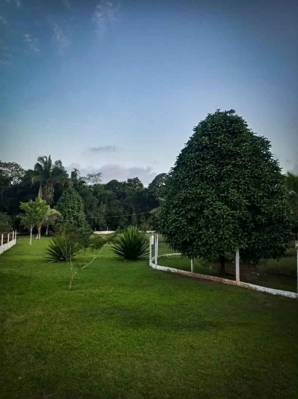 Área externa com jardim e natureza em espaço do Grupo Salvar Vidas