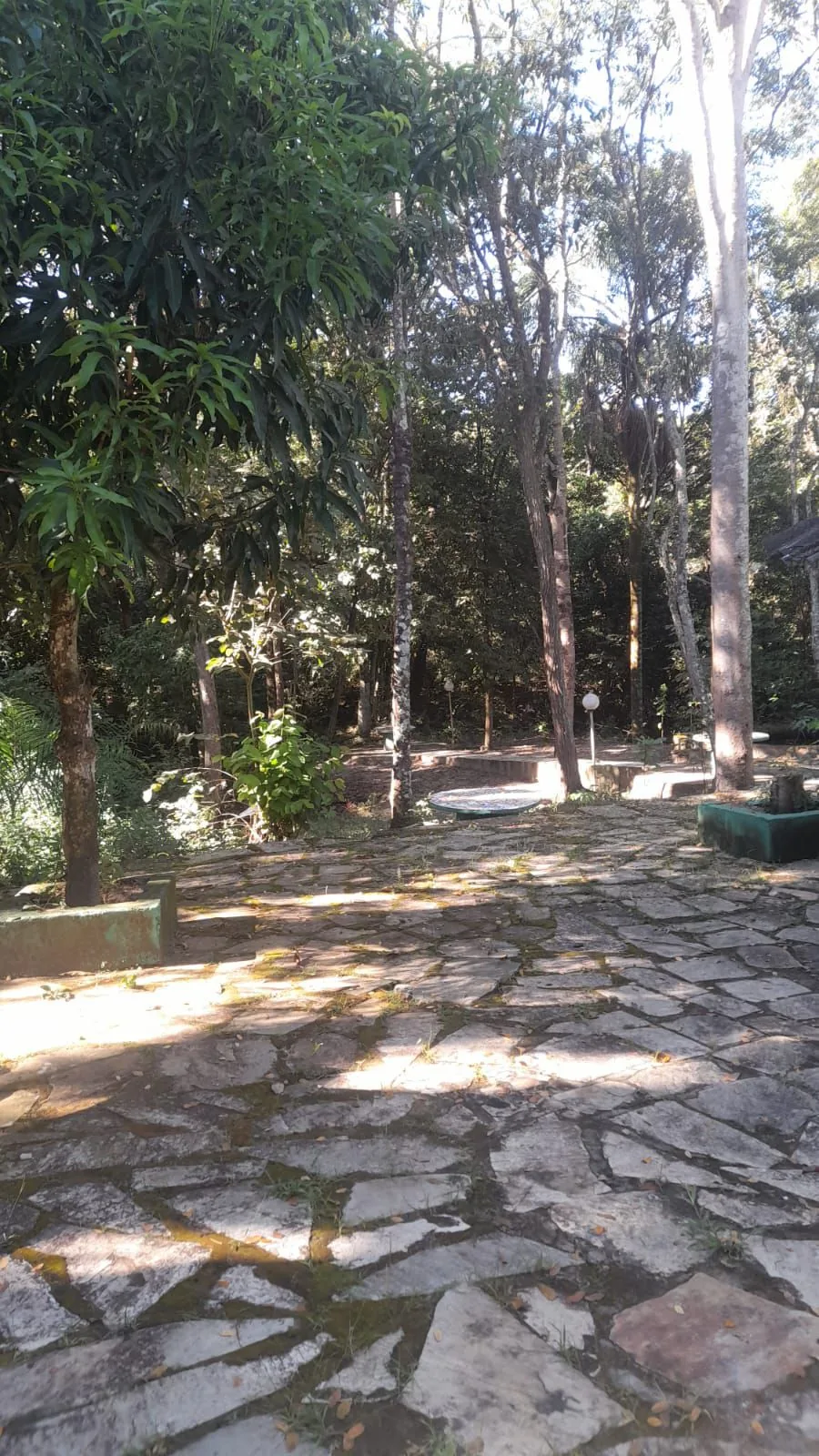 Caminho em pedra entre árvores e área verde do Green Park